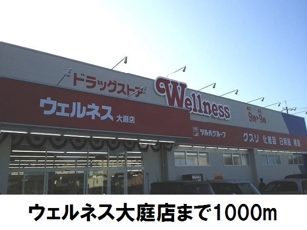 ウェルネス大庭店まで1000m