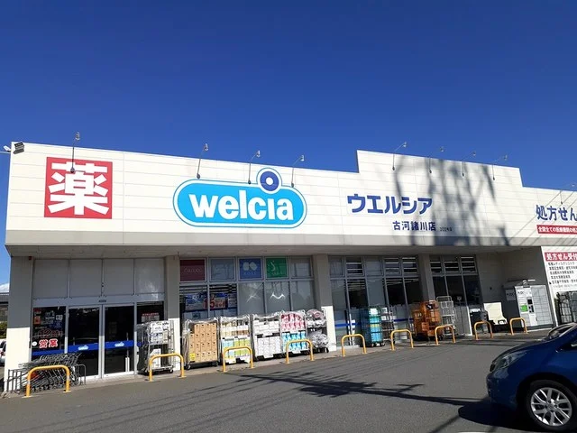ウエルシア古河諸川店まで800m