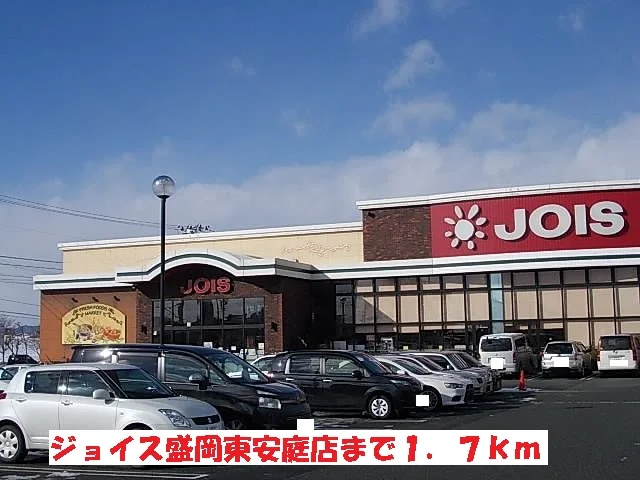 ジョイス盛岡東安庭店まで1700m