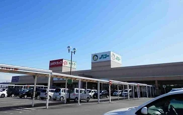 ベリーまで1600m