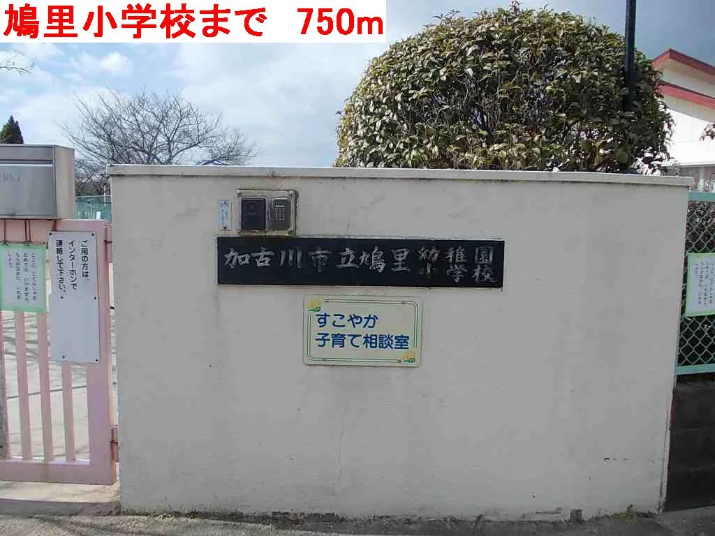 鳩里小学校まで750m