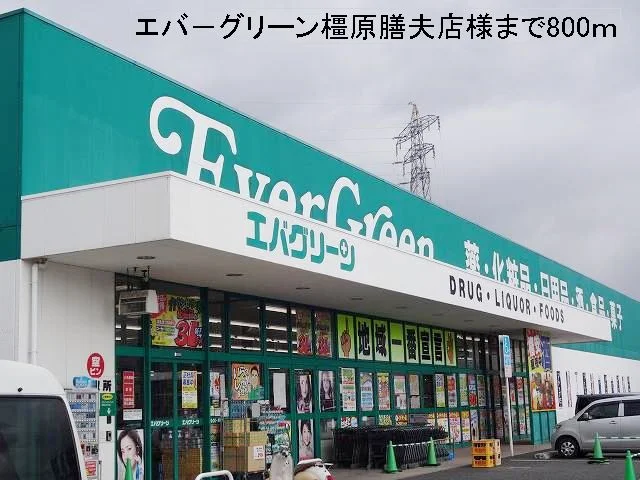 エバーグリーン橿原膳夫店様まで800m