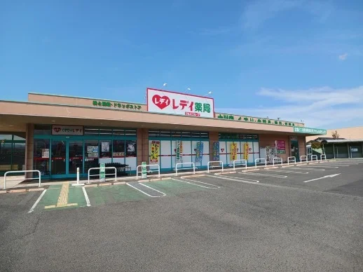クスリのレディ十川店さんまで1700m