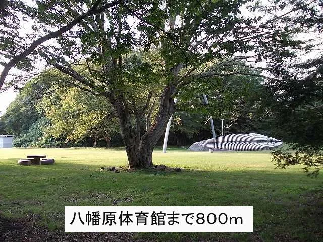 八幡原体育館まで800m