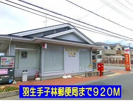 羽生手子林郵便局まで920m