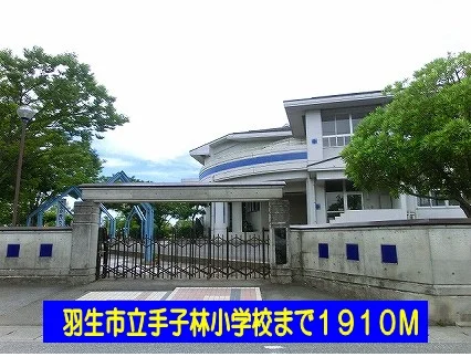 羽生市立手子林小学校まで1910m