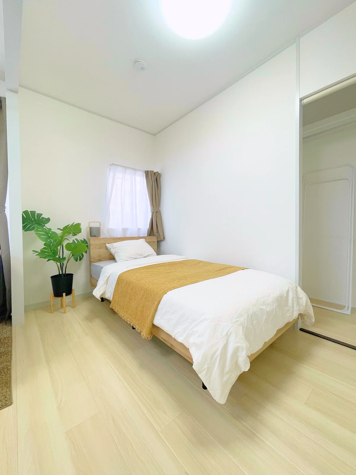 シングルベット