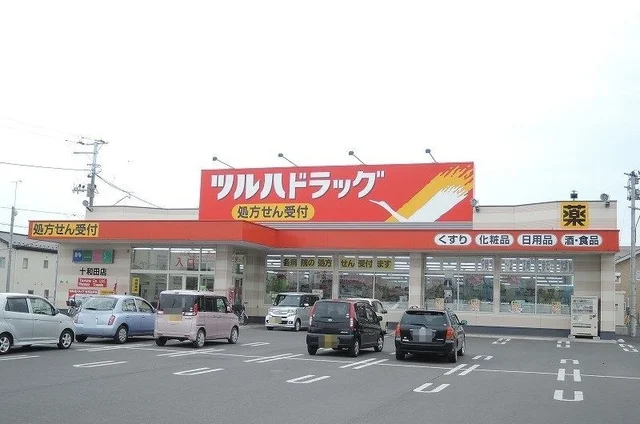 ツルハドラッグ十和田店まで500m