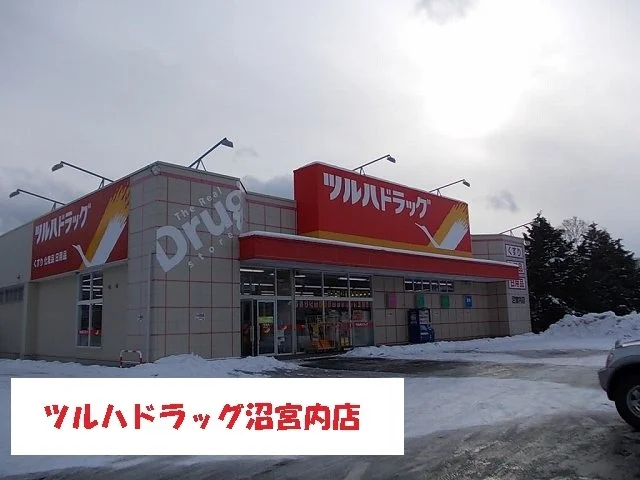 ツルハドラッグ沼宮内店まで900m