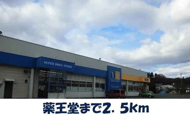 薬王堂村崎野店まで2500m