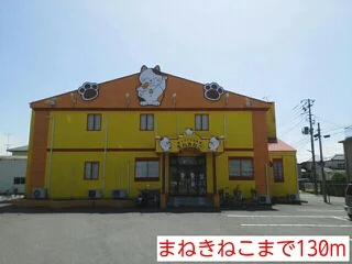 まねきねこまで130m