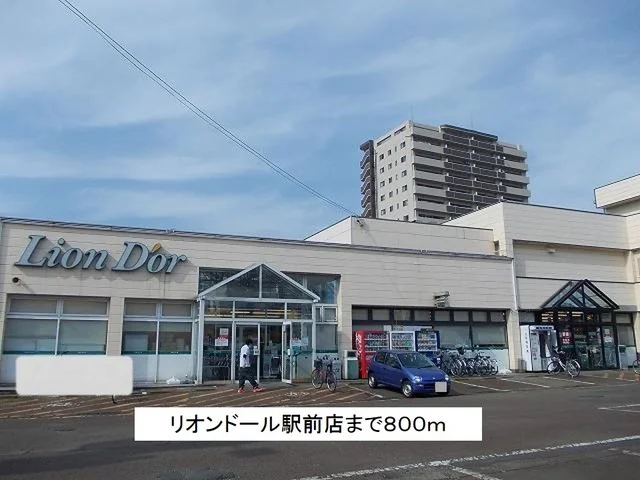 リオンドール駅前店まで800m