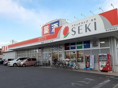 ドラッグストアセキまで1100m