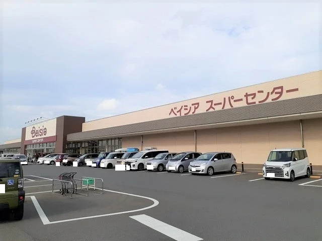 ベイシア 成田芝山店まで2300m