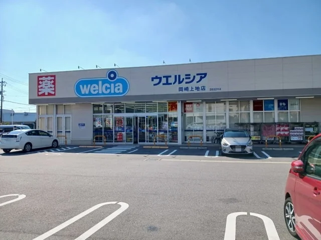 ウエルシア岡崎上地店まで300m