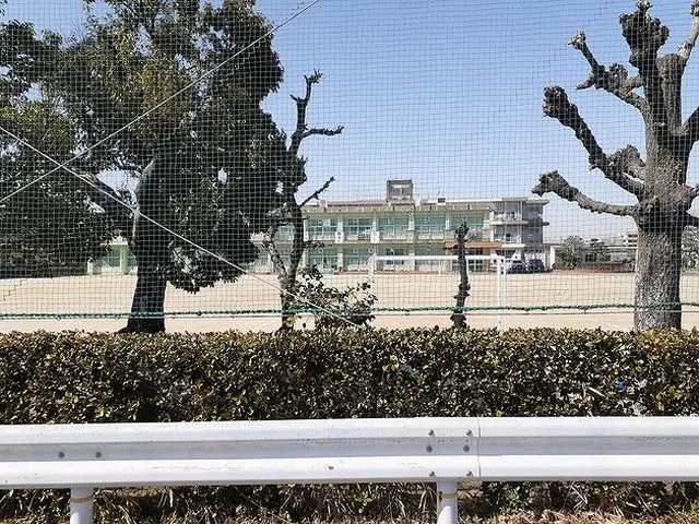 南部小学校まで500m