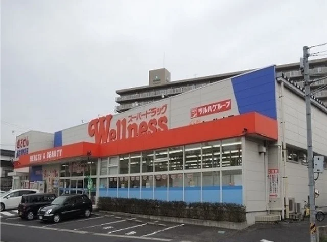 ウェルネス橋南店まで700m
