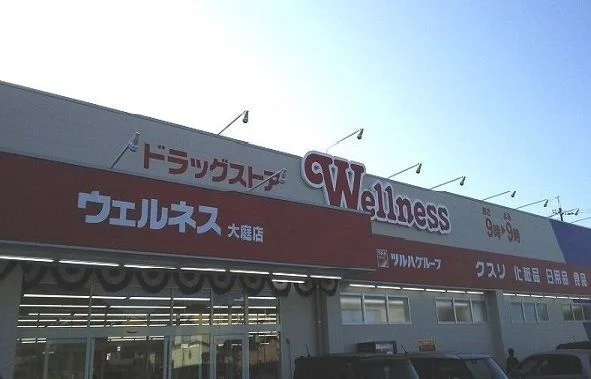 ウェルネス大庭店まで1000m