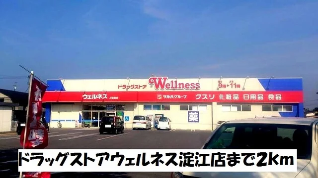 ドラッグストアウェルネス淀江店まで2000m