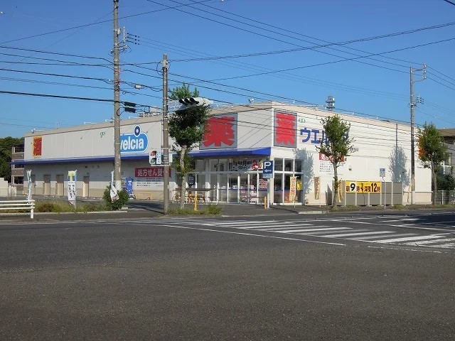 ウエルシア静岡池田店まで1400m