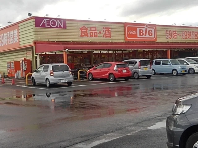 ザ・ビッグ中原店まで1330m