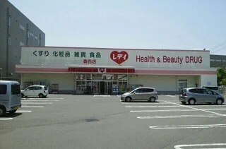レデイ薬局香西店さんまで960m