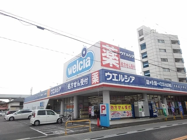 ウエルシア小山天神店まで200m