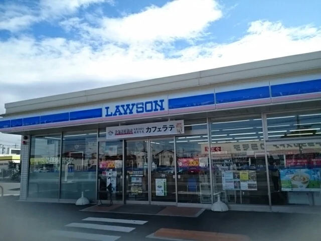 ローソン野木丸林店まで500m