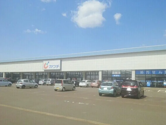 カワチ薬局まで1060m