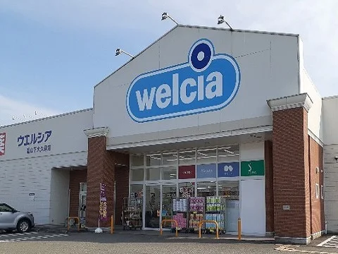 ウエルシア富山下大久保店まで750m