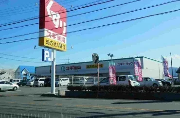 スギ薬局まで1100m