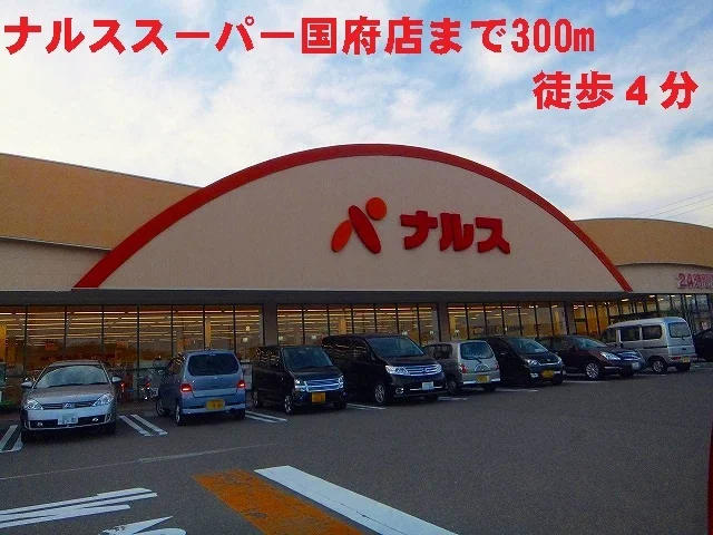 ナルススーパー国府店まで300m