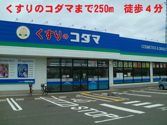 クスリのこだままで250m