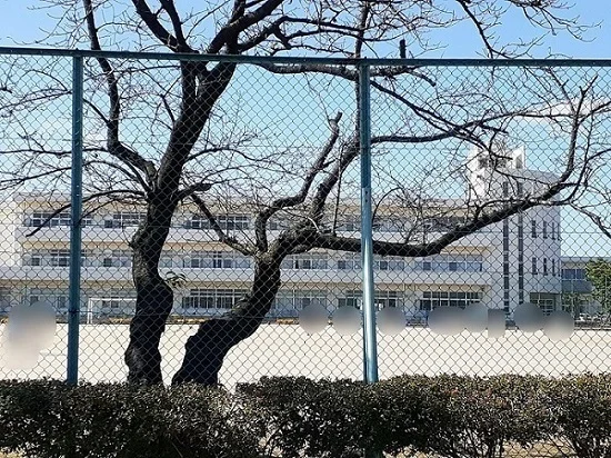 御免町小学校まで550m