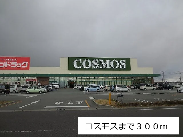 コスモスまで300m