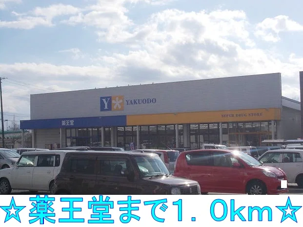 薬王堂まで1000m