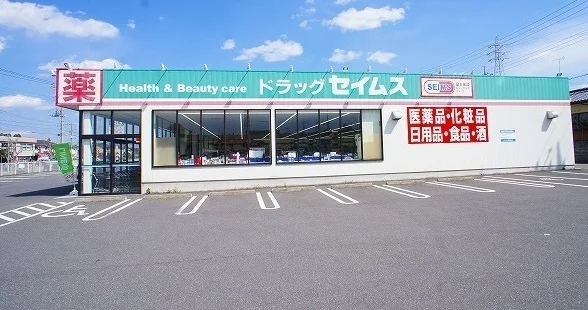 ドラッグストアセイムスまで300m