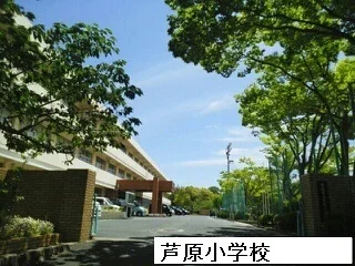 芦原小学校まで550m