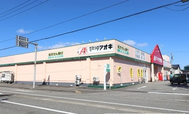 クスリのアオキ津幡店まで1300m