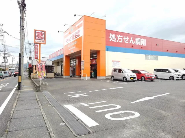 ドラッグ新生堂昇町店まで650m