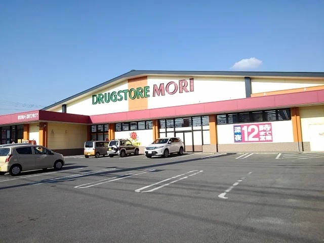 ドラッグストアモリ山川店まで520m