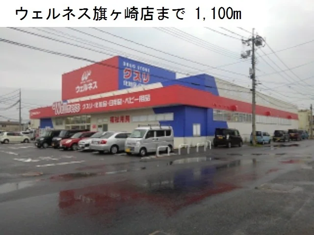 ウェルネス旗ヶ崎店まで1100m