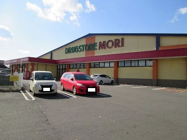 ドラッグストアモリ西都城駅前店まで700m