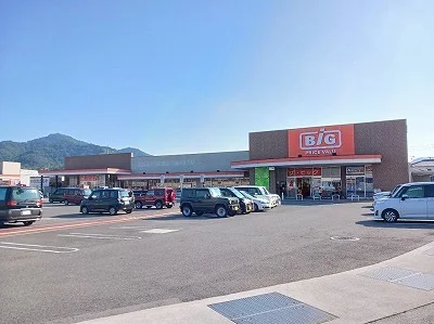 ビッグ国分寺店さんまで4100m