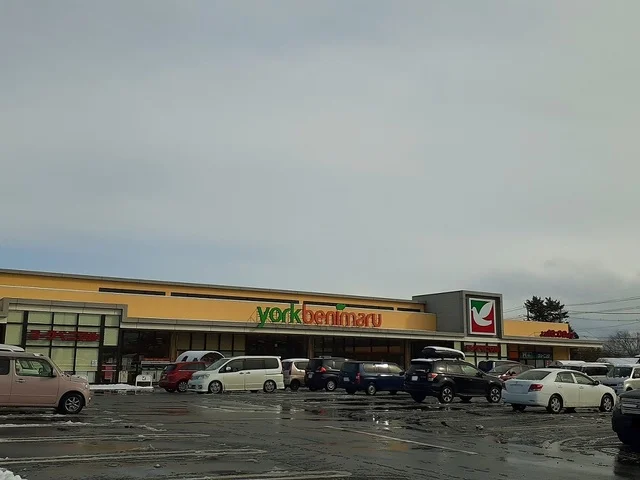 ヨークベニマル泉野村店まで500m