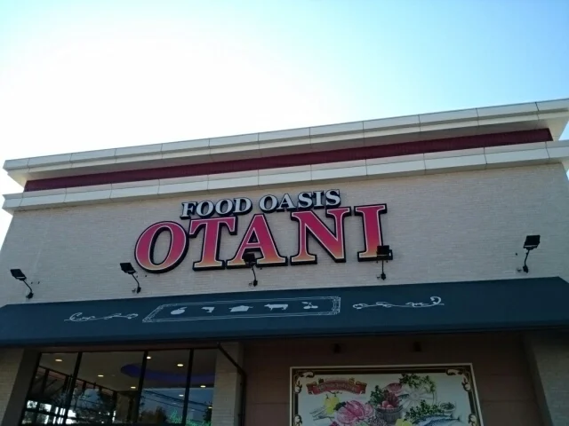 フードオアシスオータニ小山店まで100m