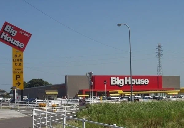 ビックハウス東金店まで1100m