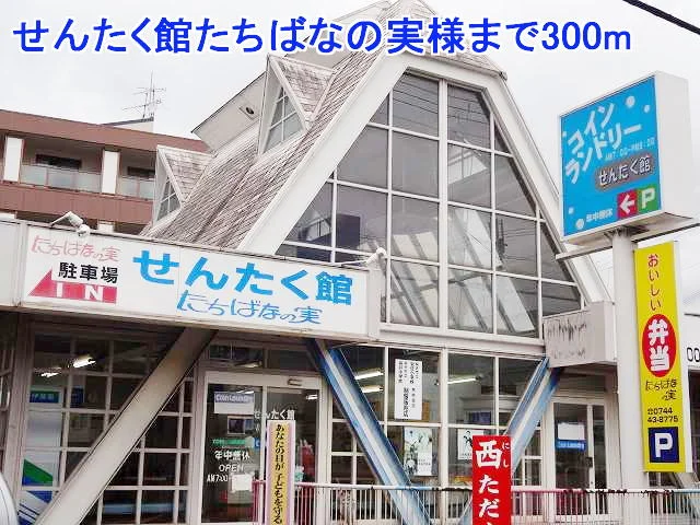 せんたく館たちばなの実様まで300m