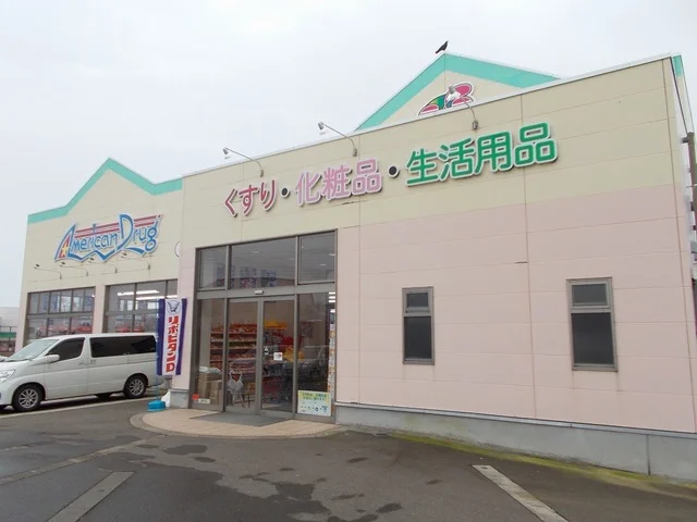 アメリカンドラッグ新井店まで1300m