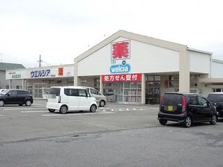 ウエルシア静岡高松店まで800m